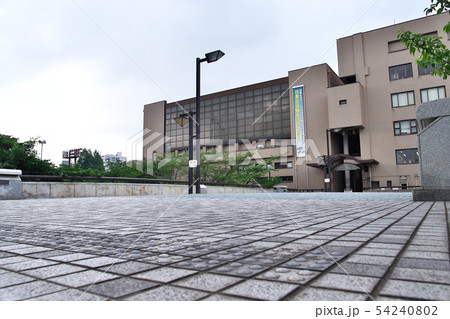 初夏の目黒川 ふれあい橋 54240802