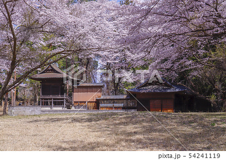 【山梨県韮崎市】国の史跡・春の新府城本丸跡 藤武稲荷神社 【山梨県韮崎市】国の史跡・春の新府城本丸跡 藤武稲荷神社 54241119