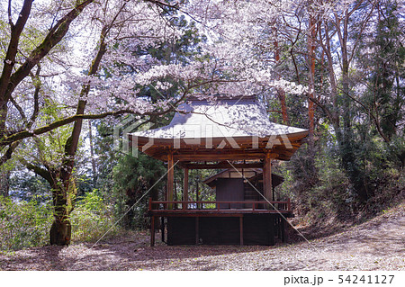 【山梨県韮崎市】国の史跡・春の新府城本丸跡　藤武稲荷神社・舞殿 54241127