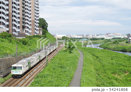 横浜線 185系 鶴見川沿いを行く 横浜線 185系 鶴見川沿いを行く 54241808