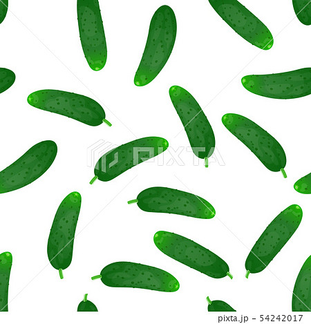 Cucumbers vegetable. 54242017