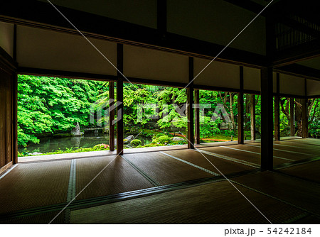 春の京都 蓮華寺 春の京都 蓮華寺 54242184
