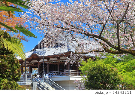 【群馬県】晴天下の慈眼院 54243211