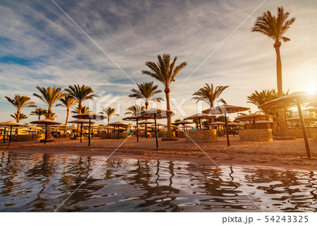 Beautiful romantic sunset over a sandy beach and palm trees. Egypt. Hurghada. 54243325