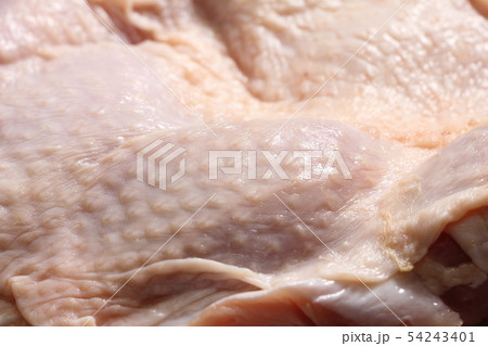 鶏肉の皮部分(鶏皮)・生 54243401