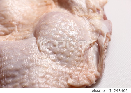 鶏肉の皮部分(鶏皮)・生 54243402