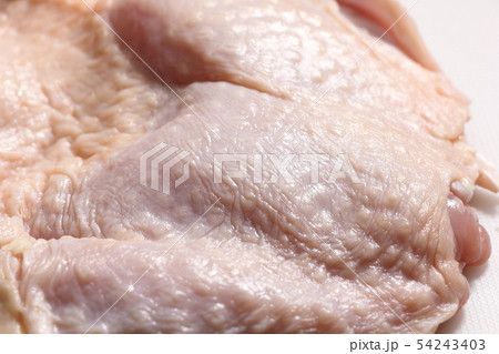 鶏肉の皮部分(鶏皮)・生 54243403