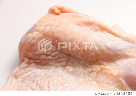 鶏肉の皮部分(鶏皮)・生 54243404