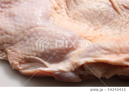 鶏肉の皮部分(鶏皮)・生 54243413