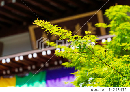 四国八十八箇所霊場・札所 四国八十八箇所霊場・札所 54243455