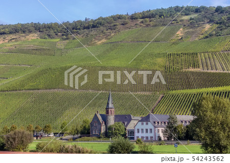 On the banks of the Moselle river,Germany 54243562