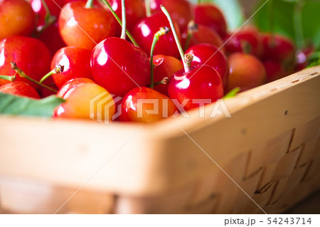 サクランボ・佐藤錦 サクランボ・佐藤錦 54243714