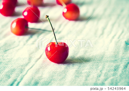 サクランボ・佐藤錦 54243964