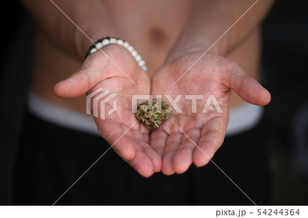 dry medical cannabis marijuana hand 54244364