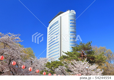 【群馬県】高崎公園の満開桜と高崎市役所 【群馬県】高崎公園の満開桜と高崎市役所 54244554