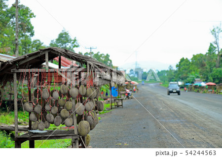 ラオス、パークセー道沿いの露店 54244563