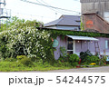 花が咲いている建物 54244575