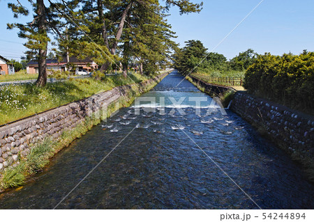 【富山県・疎水百選】常西合口用水（常西用水路） 54244894