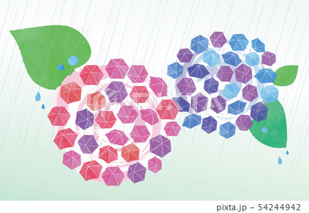 傘あじさいの花と雨 54244942