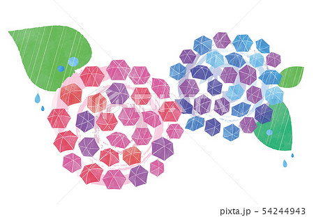 傘あじさいの花と雨 54244943