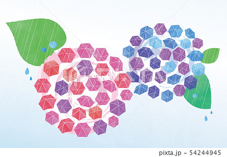 傘あじさいの花と雨 54244945