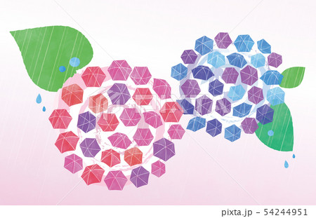 傘あじさいの花と雨 54244951
