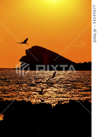 遮帰島 済州市 済州島 54245677