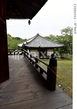 根来寺 大塔から大師堂を望む 根来寺 大塔から大師堂を望む 54246023