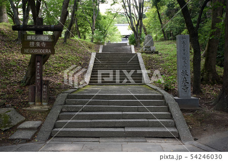 根来寺　大伝法堂参道 54246030