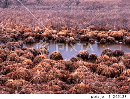 奥日光の風景 54246123
