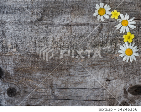 Beautiful bouquet of blooming, bright flowers. Close-up. 54246356