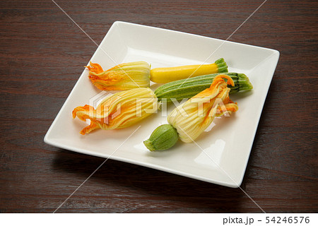 ズッキーニの花 54246576