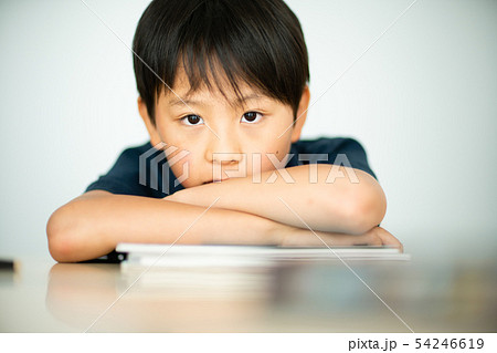 小学生　 54246619