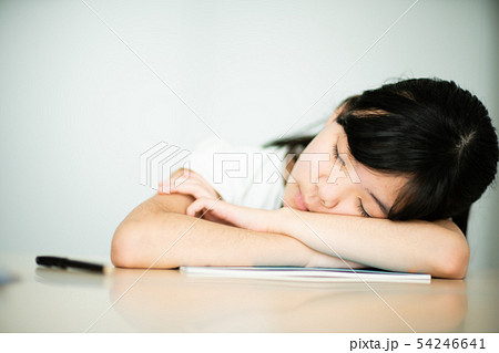 小学生　 54246641