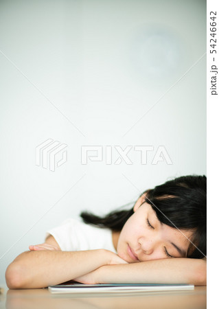 小学生　 54246642