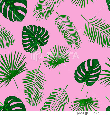 Seamless hand drawn tropical vector pattern exotic palm leaves 54246962