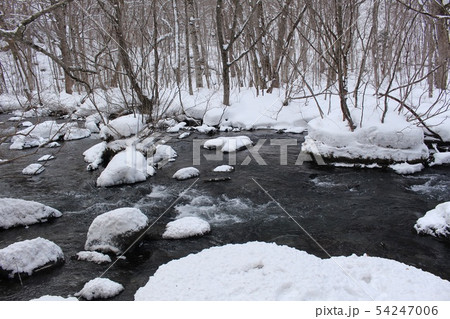 冬の奥入瀬渓流 54247006