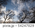 冬の空 54247029