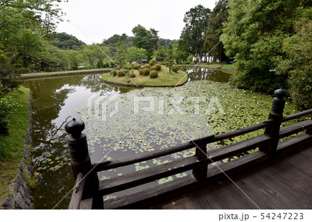 根来寺　聖天池 54247223