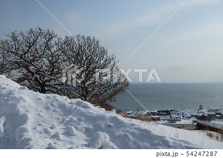 北海道 祝津の雪景色 北海道 祝津の雪景色 54247287