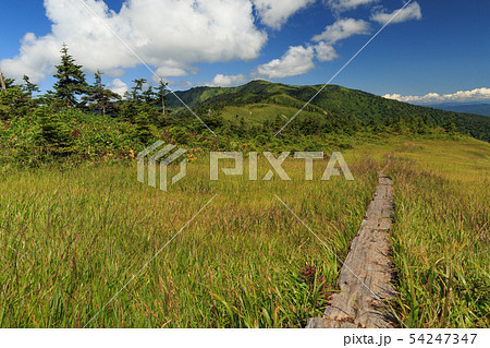 会津駒ヶ岳へ続く木道　（大津岐峠方面から望む） 54247347