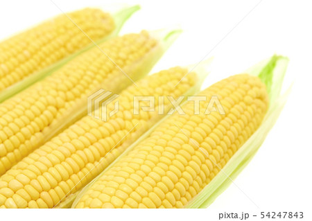 トウモロコシ　4本 54247843
