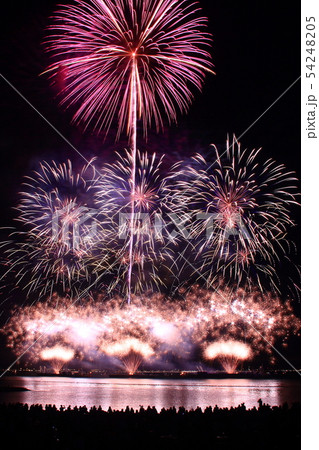 泉州 光と音の夢花火(大阪府泉南市) 泉州 光と音の夢花火(大阪府泉南市) 54248205