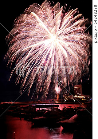 熱海海上花火スターマイン　２０１９年春 54248239