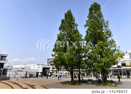 日本の横浜都市景観  地下鉄　センター南駅などを望む 54248855