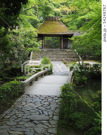京都 新緑の法然院 京都 新緑の法然院 54249767