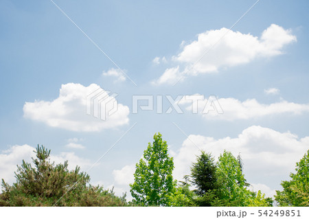 天気 自然 空 54249851