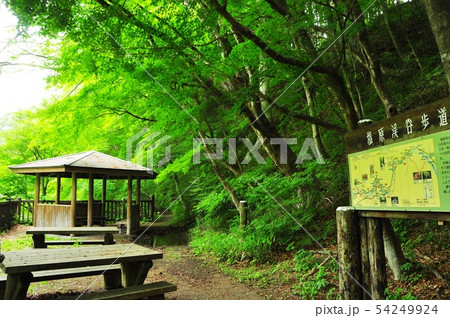 塩原温泉 箒川沿い塩原渓谷歩道の東屋と新緑 塩原温泉 箒川沿い塩原渓谷歩道の東屋と新緑 54249924