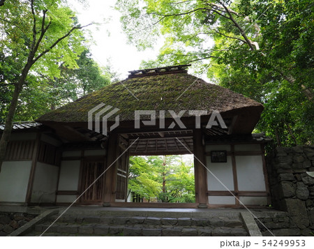 京都 新緑の法然院 京都 新緑の法然院 54249953
