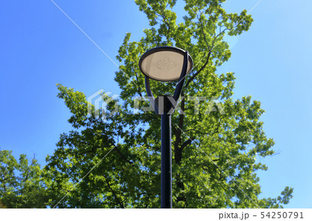 Black iron street lamp Black iron street lamp 54250791